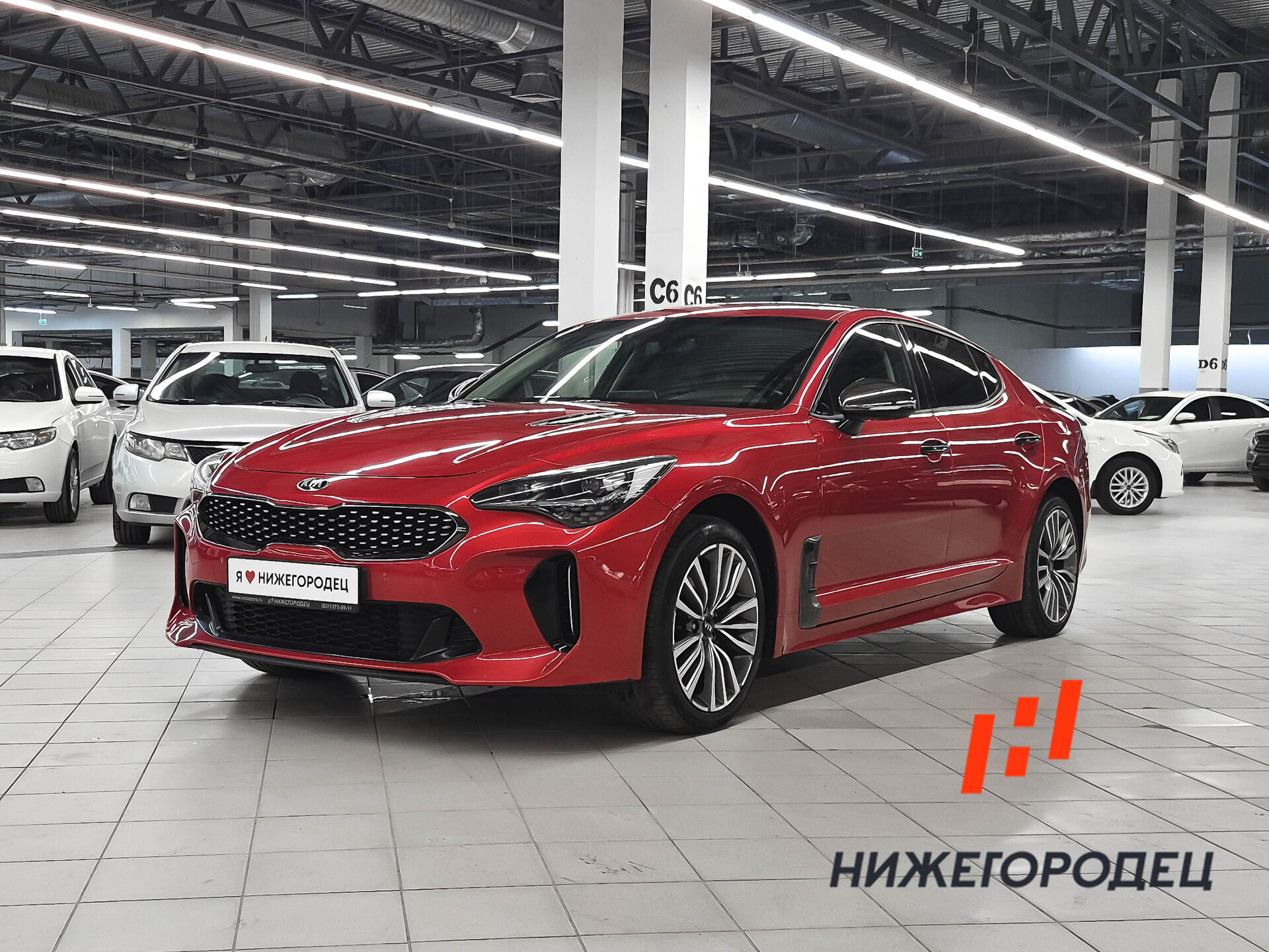 Kia Stinger 2.0 AT (247 л.с.) 4WD, 2019 — купить в Нижнем Новгороде