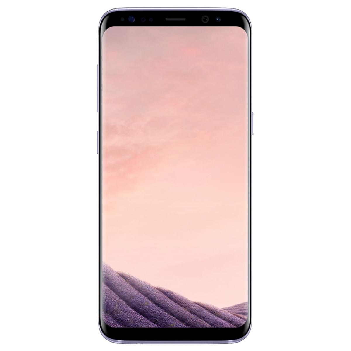Смартфон Samsung Galaxy S8 64 GB Серый