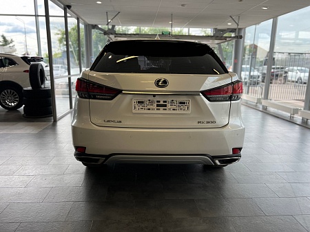 Lexus RX 300 2.0 AT (238 л.с.) 4WD, 2021